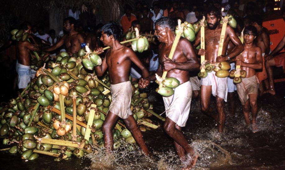 Elaneer Veppu at Akkare Kottiyur