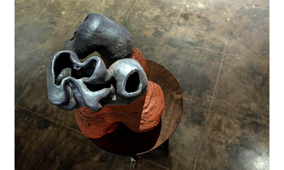  Title- Root System Analysis, Sai Gitanjali Poluru, Shiv Nadar University